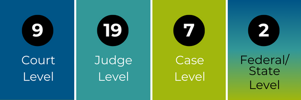9 - Court Level 19 - Judge Level 7 - Case Level 2 - Federal/state Level
